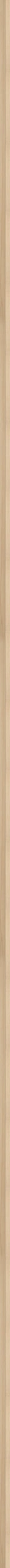 Wooden Float M baklijst esdoorn fineer
