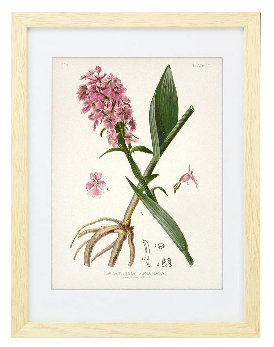 product-image-134