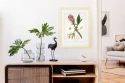 Wissellijsten Basic blank ongelakt - design houten lijsten