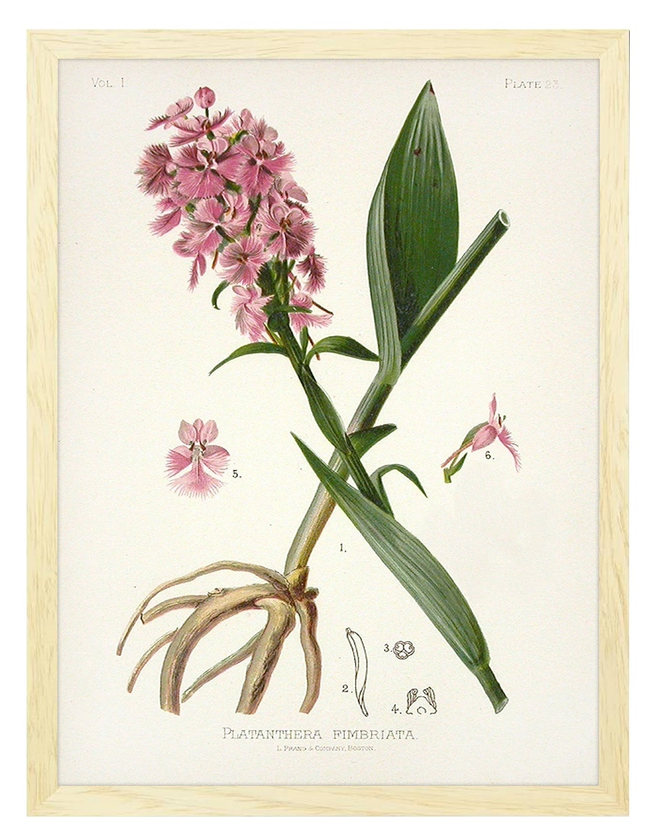 product-image-134