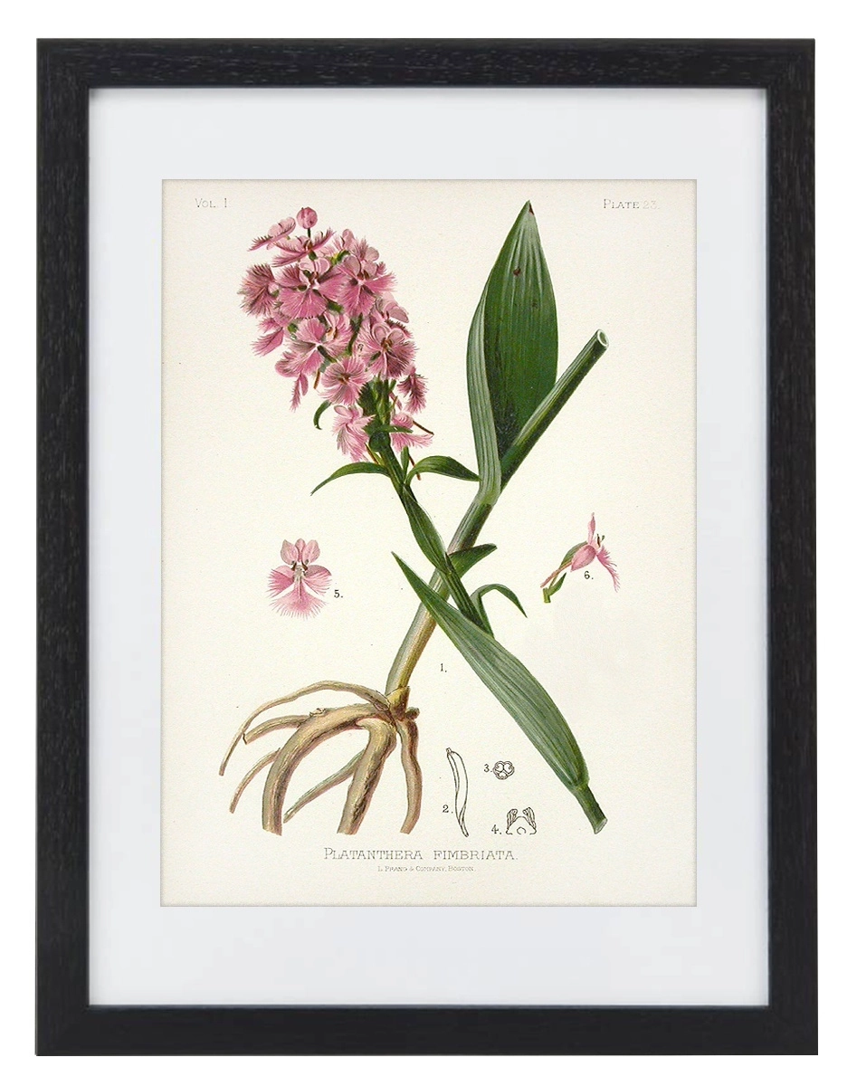 product-image-135