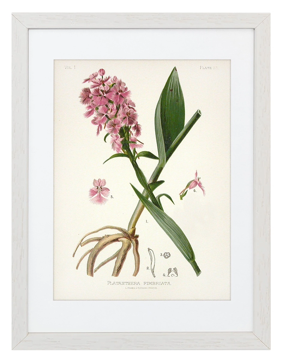 product-image-136