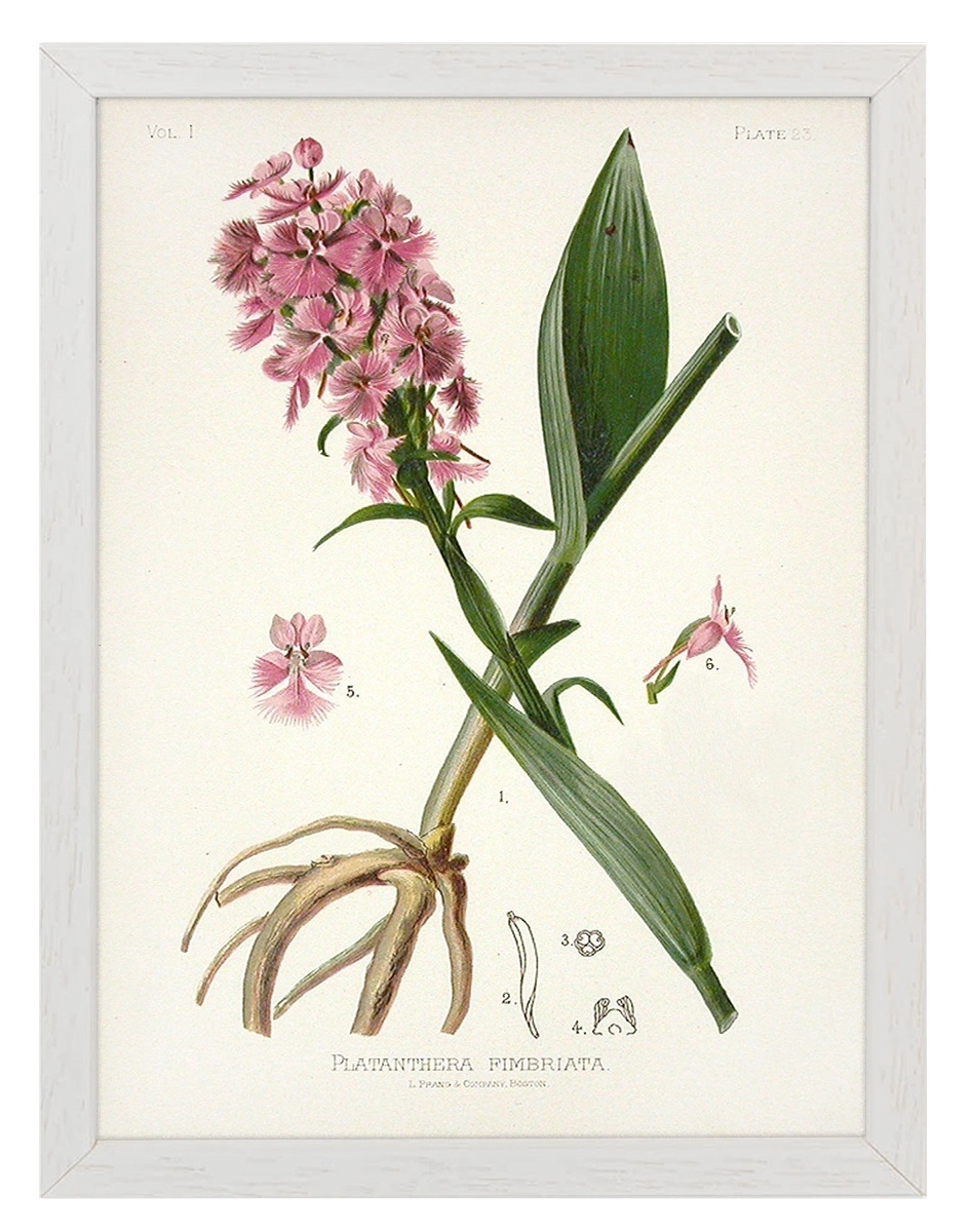 product-image-136