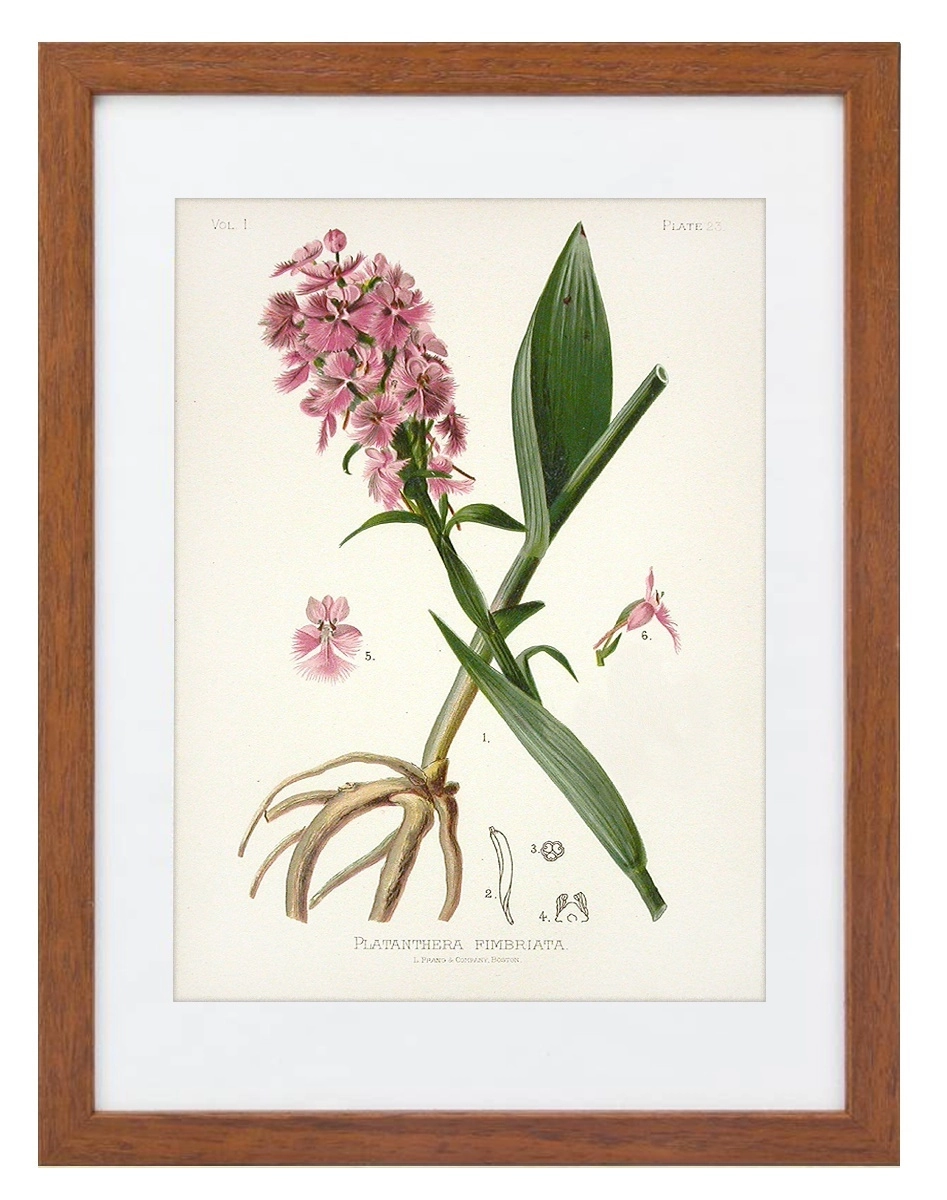 product-image-137