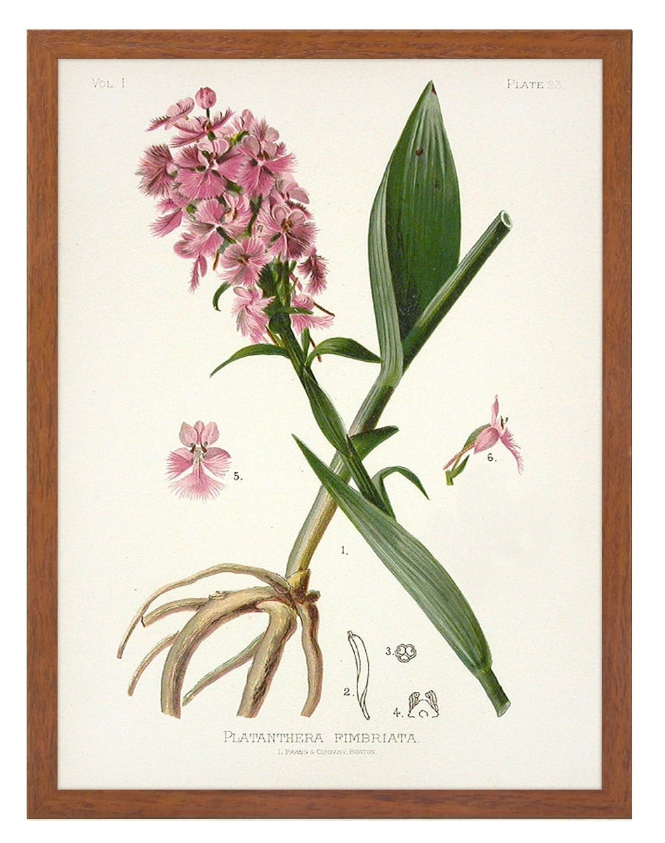 product-image-137