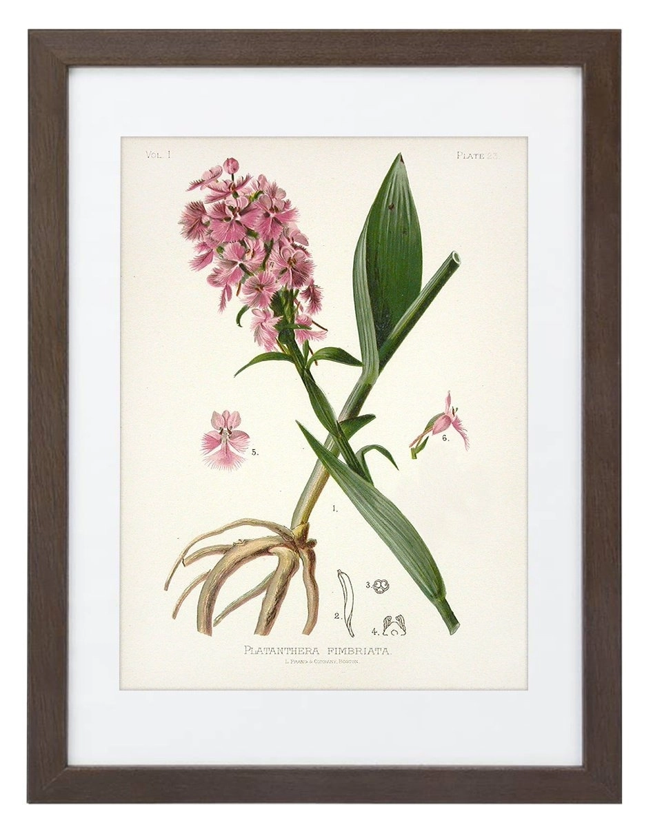 product-image-138