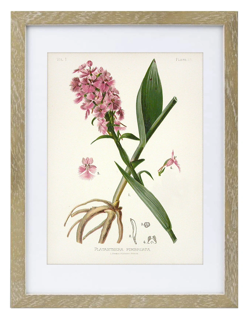 product-image-139