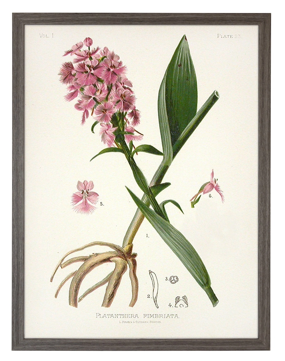 product-image-140