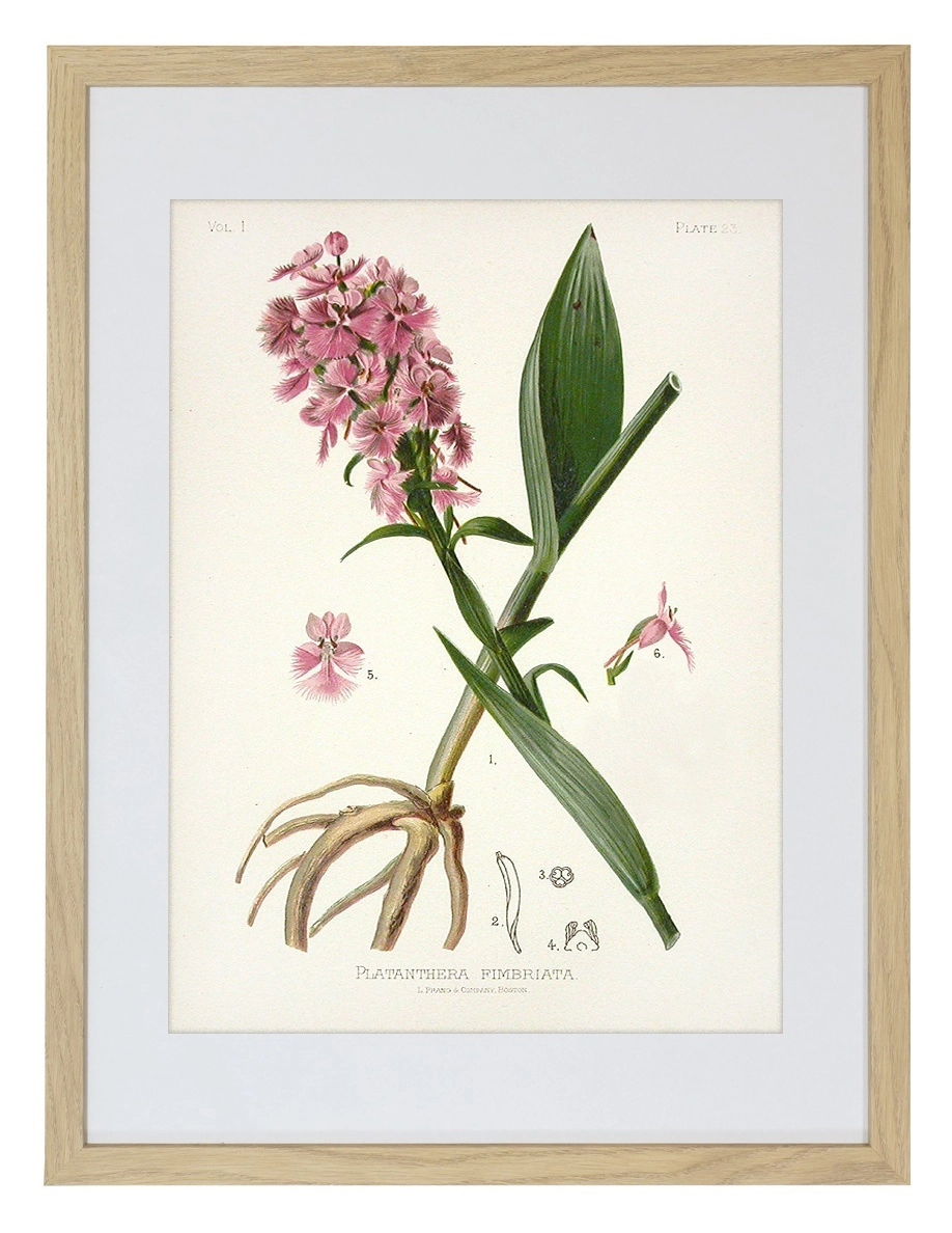 product-image-141