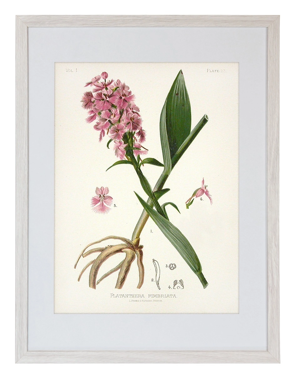product-image-142