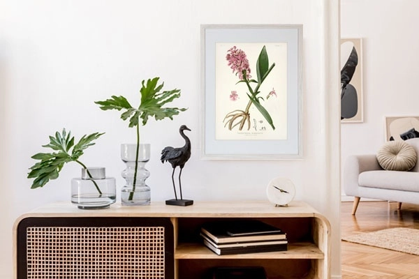 product-image-142