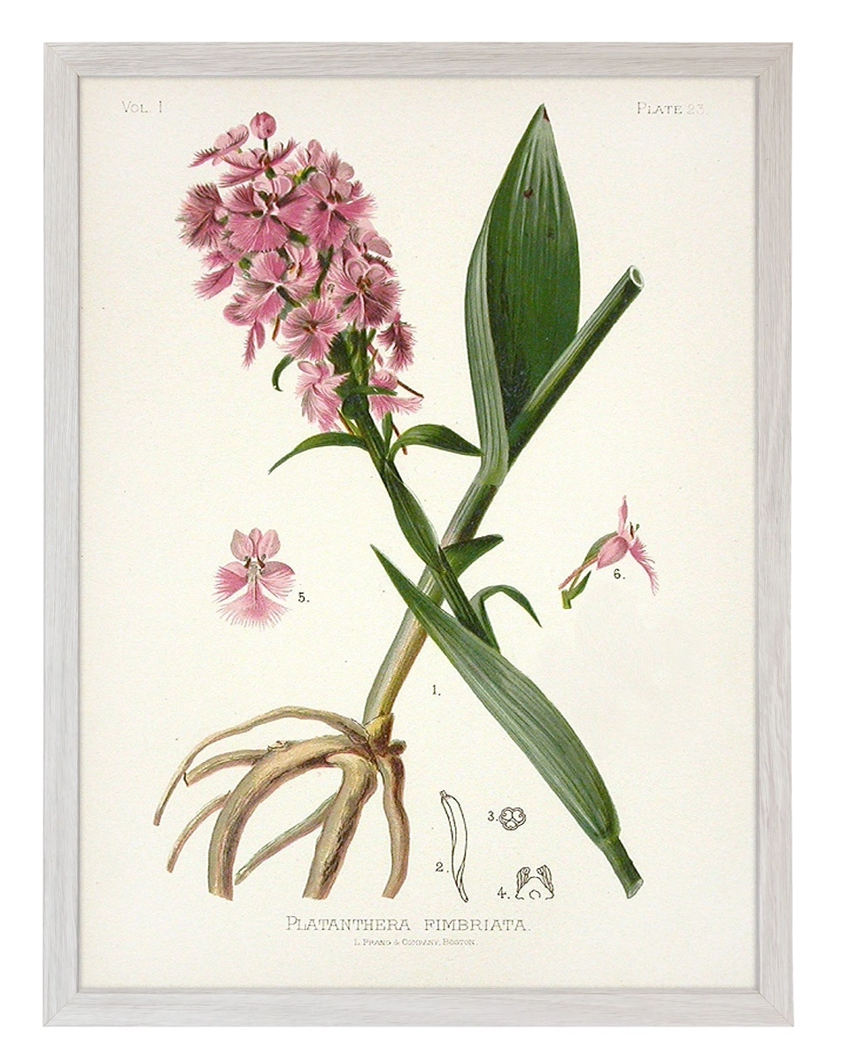 product-image-142