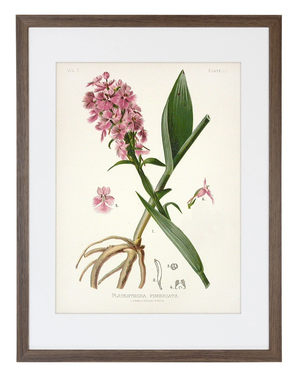 product-image-147