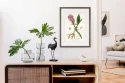 Wissellijsten Basic walnoot folie fineer - houten wissellijsten