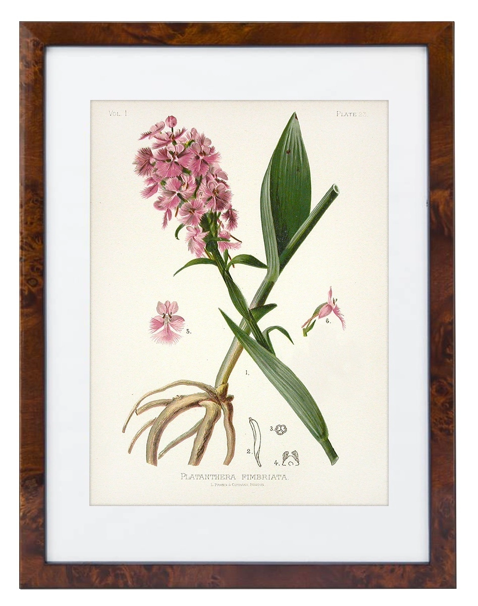 product-image-149