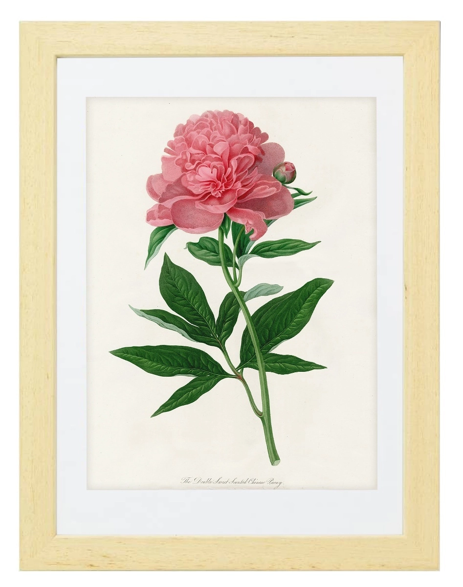 product-image-151