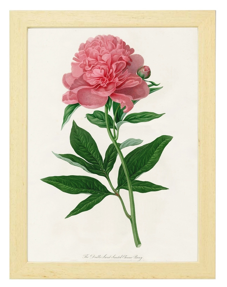 product-image-151