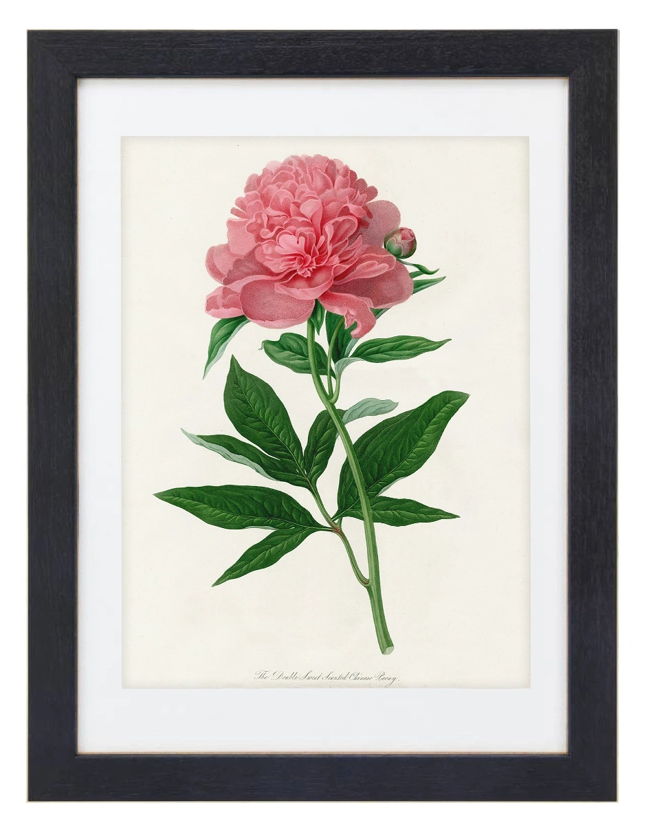 product-image-152