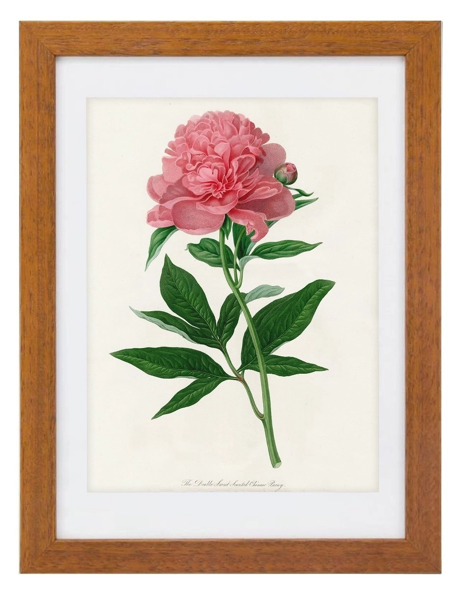 product-image-153