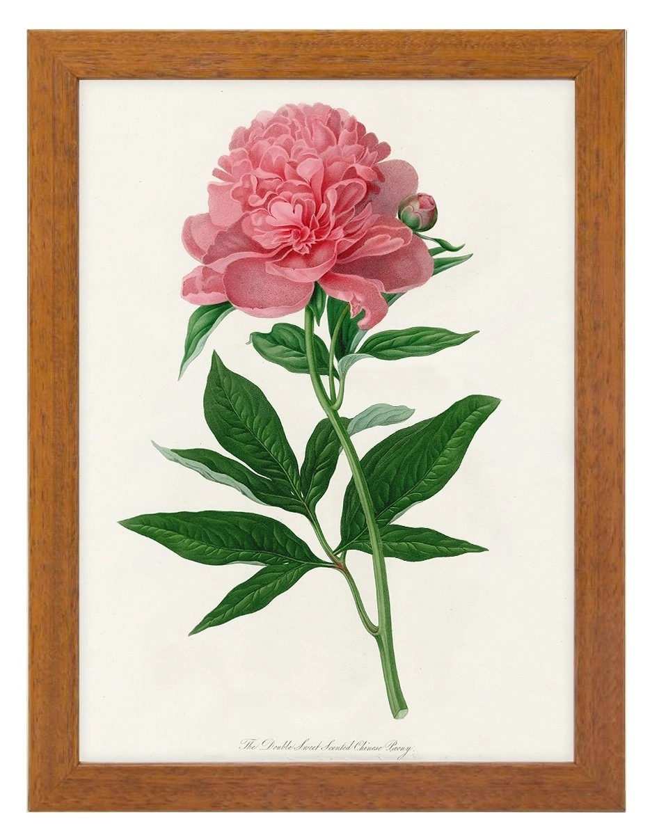 product-image-153