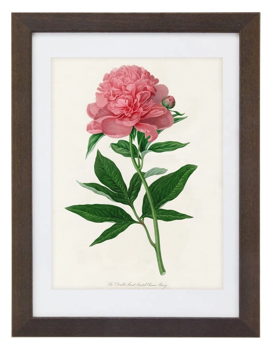 product-image-154
