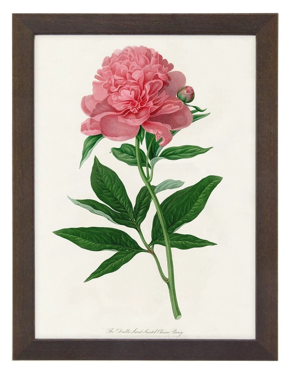 product-image-154