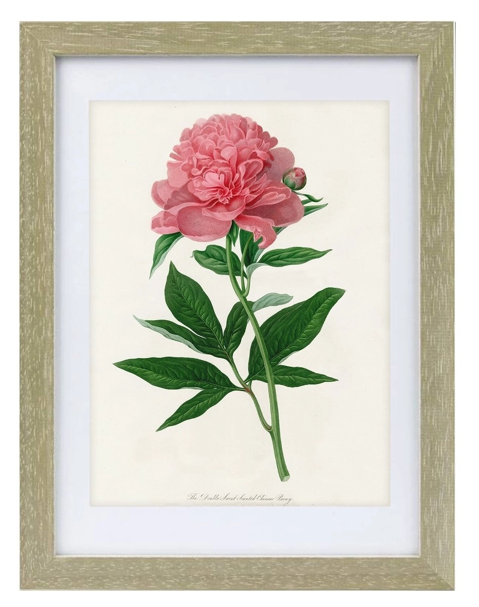 product-image-155