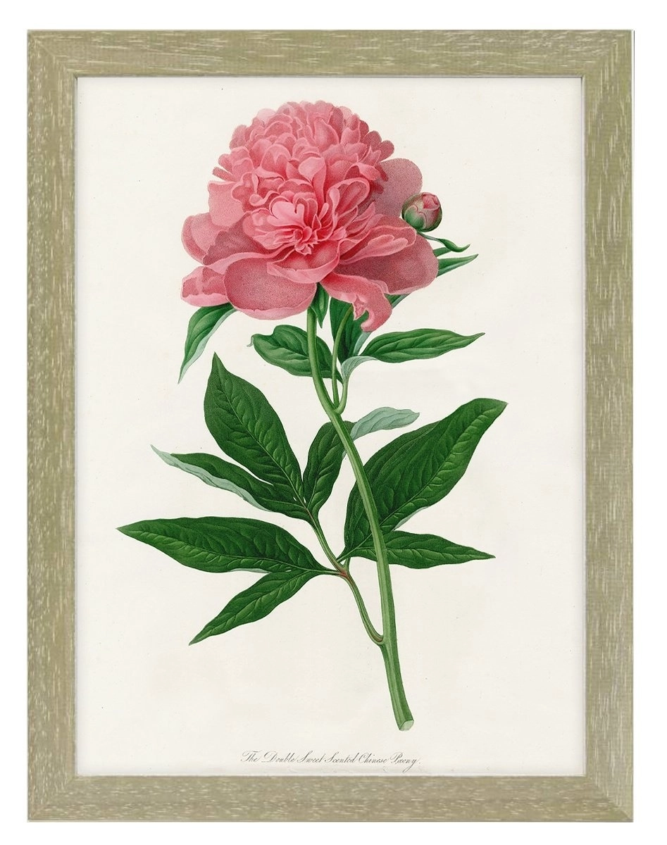 product-image-155