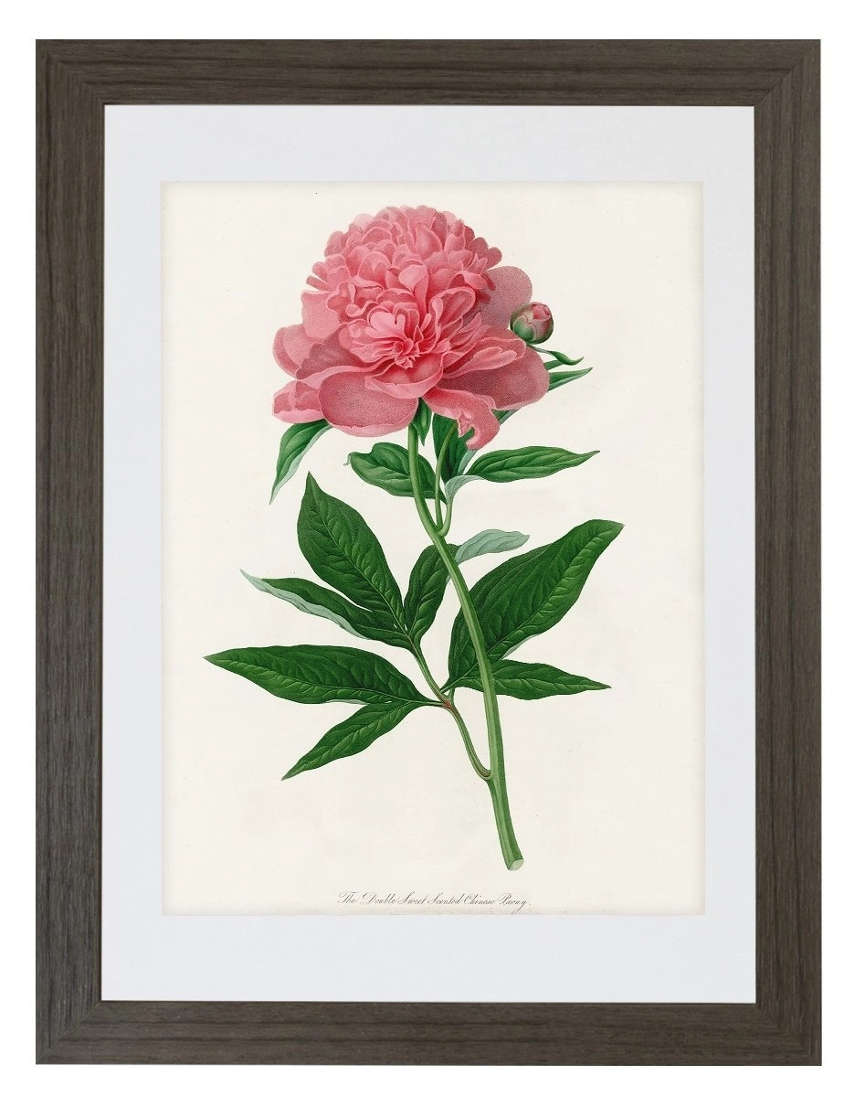 product-image-156