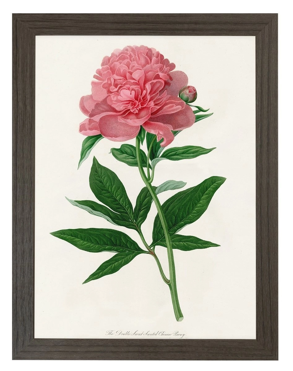 product-image-156