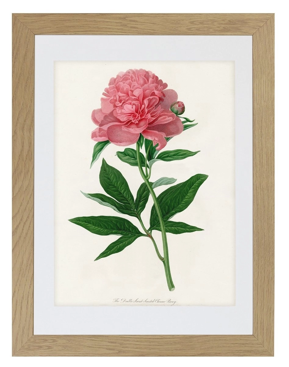 product-image-157