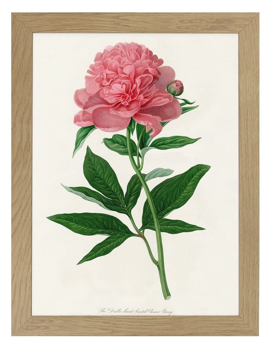 product-image-157