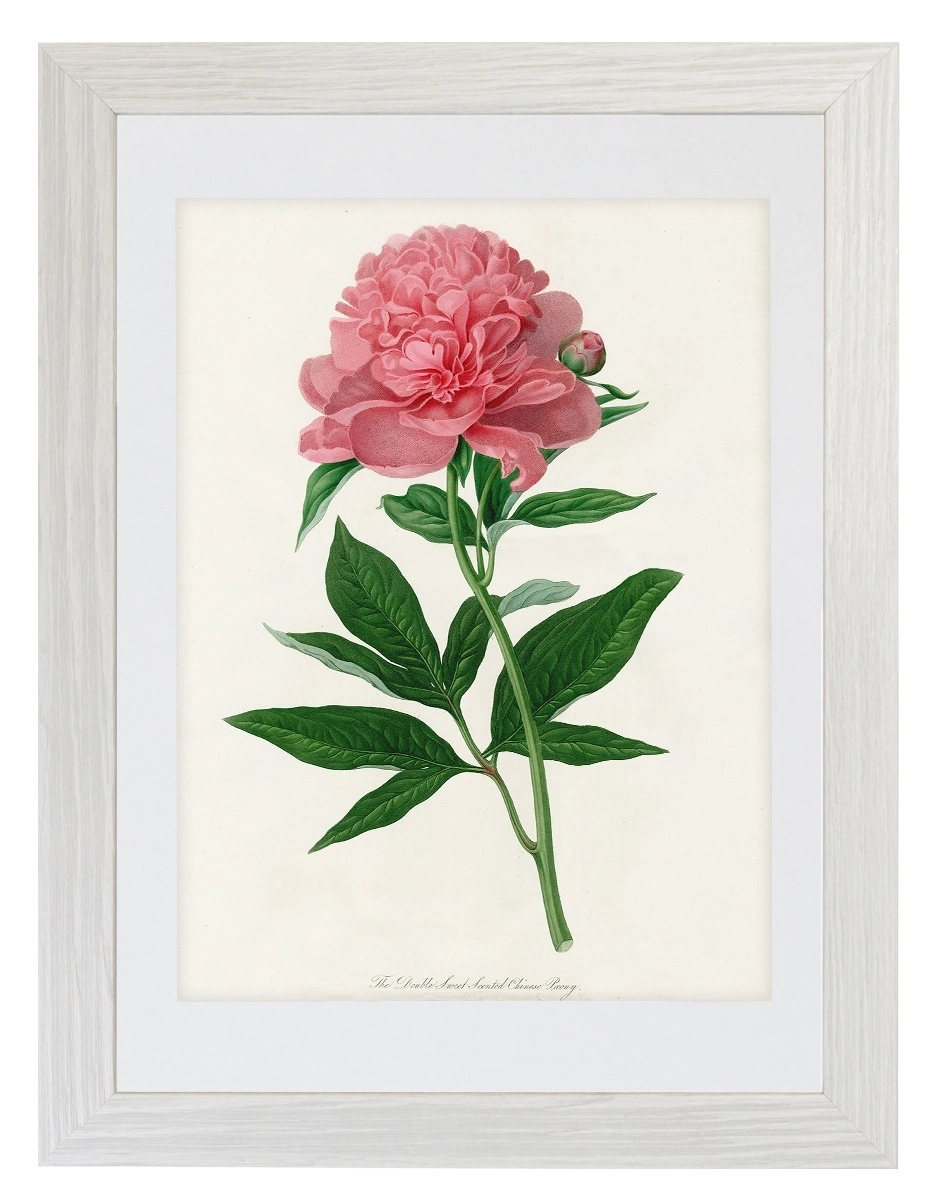 product-image-158