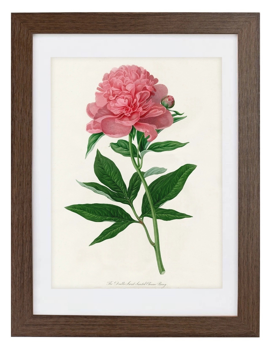 product-image-159