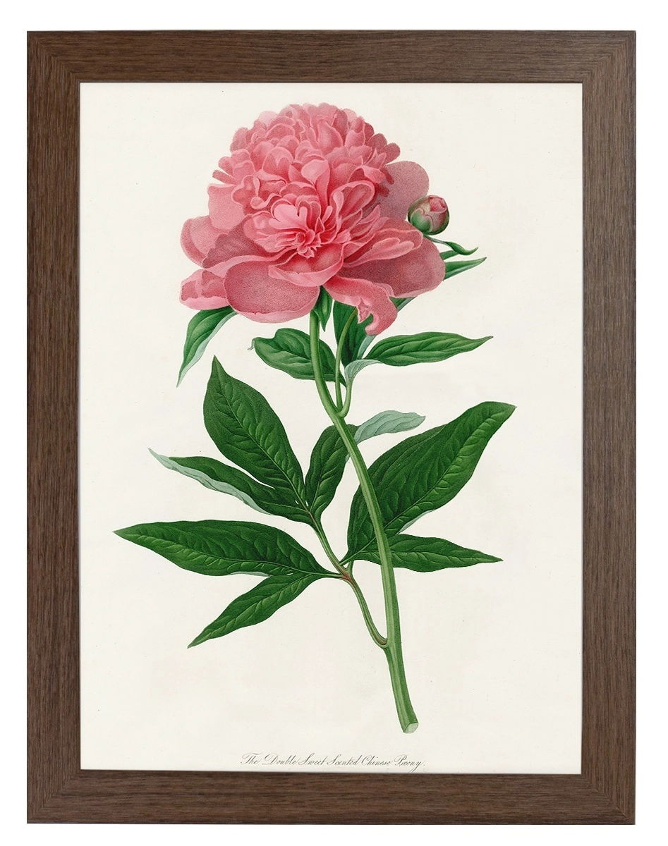 product-image-159