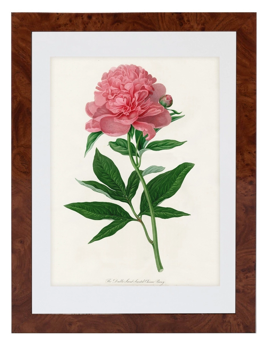product-image-165