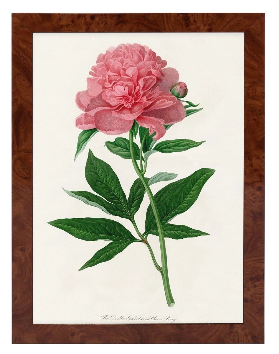 product-image-165