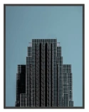 Pro Line Small zwart