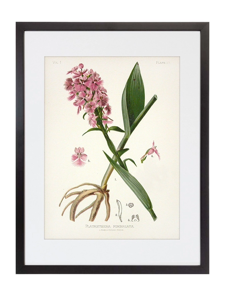 product-image-170