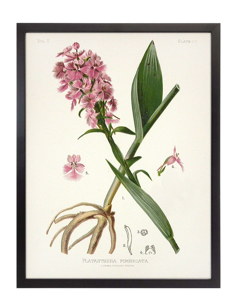 product-image-170