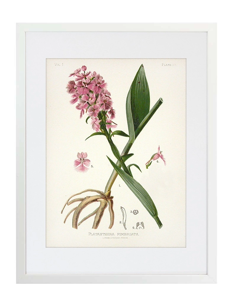 product-image-171