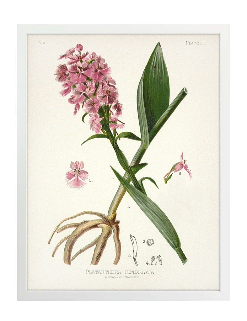 product-image-171