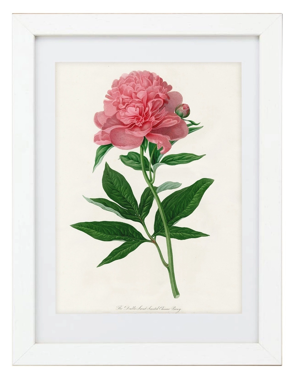 product-image-173