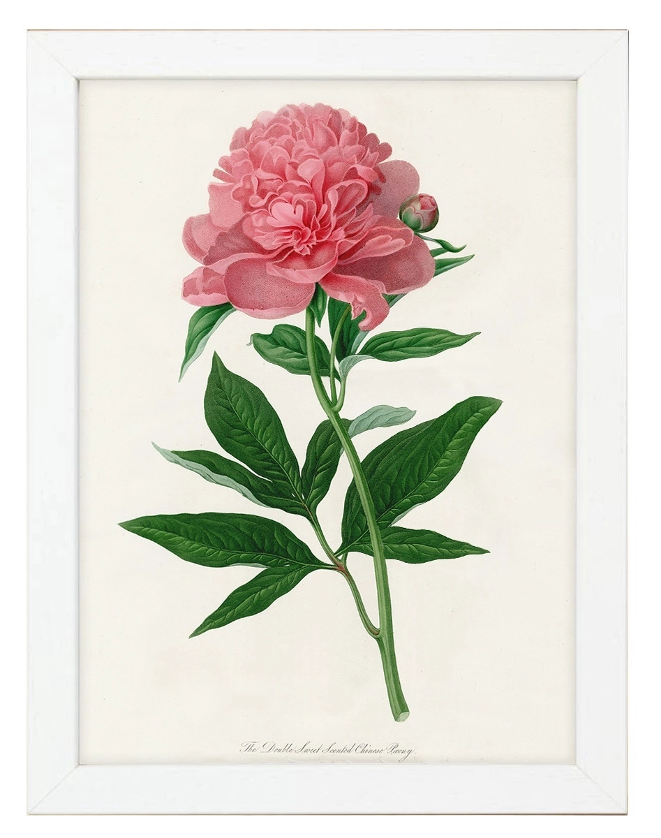 product-image-173