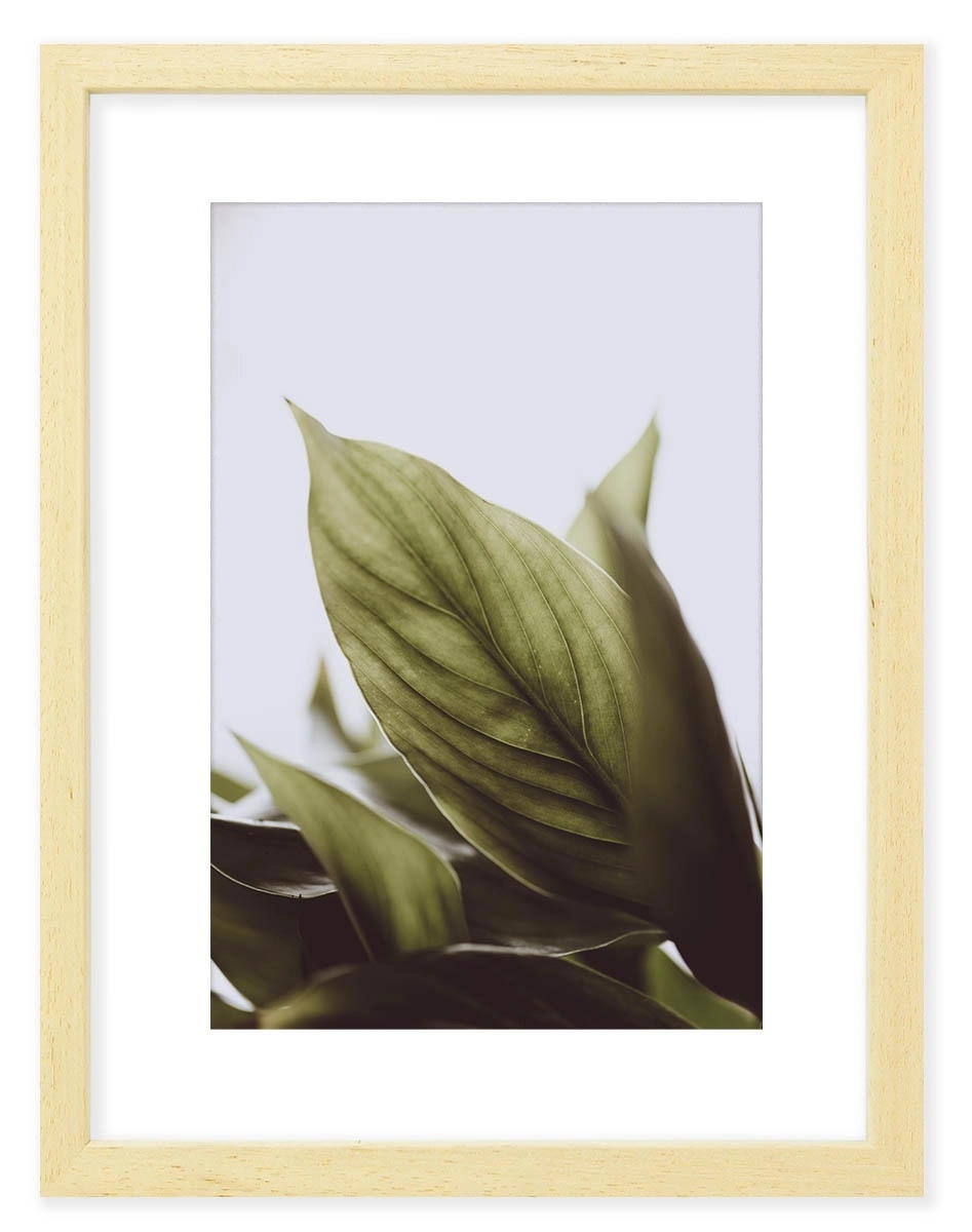product-image-174