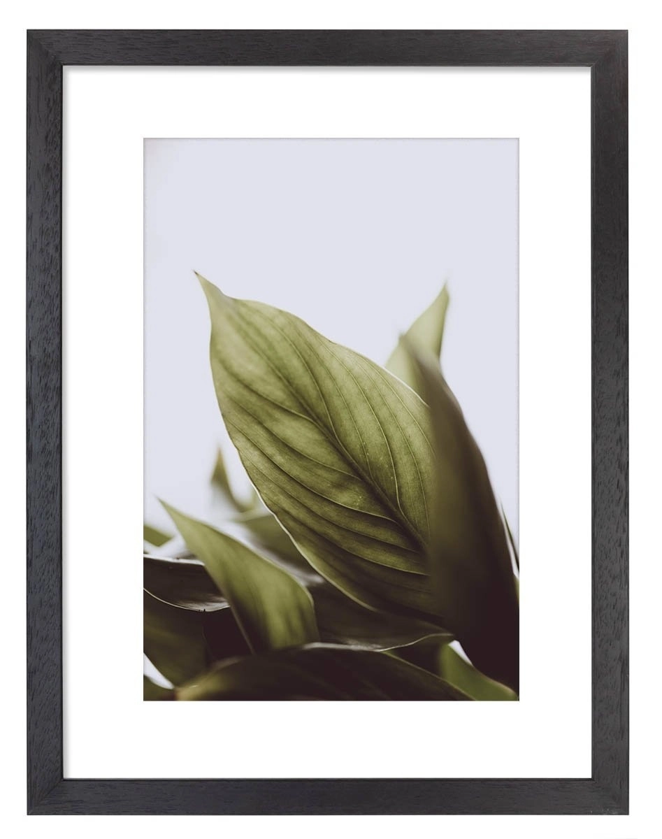 product-image-178