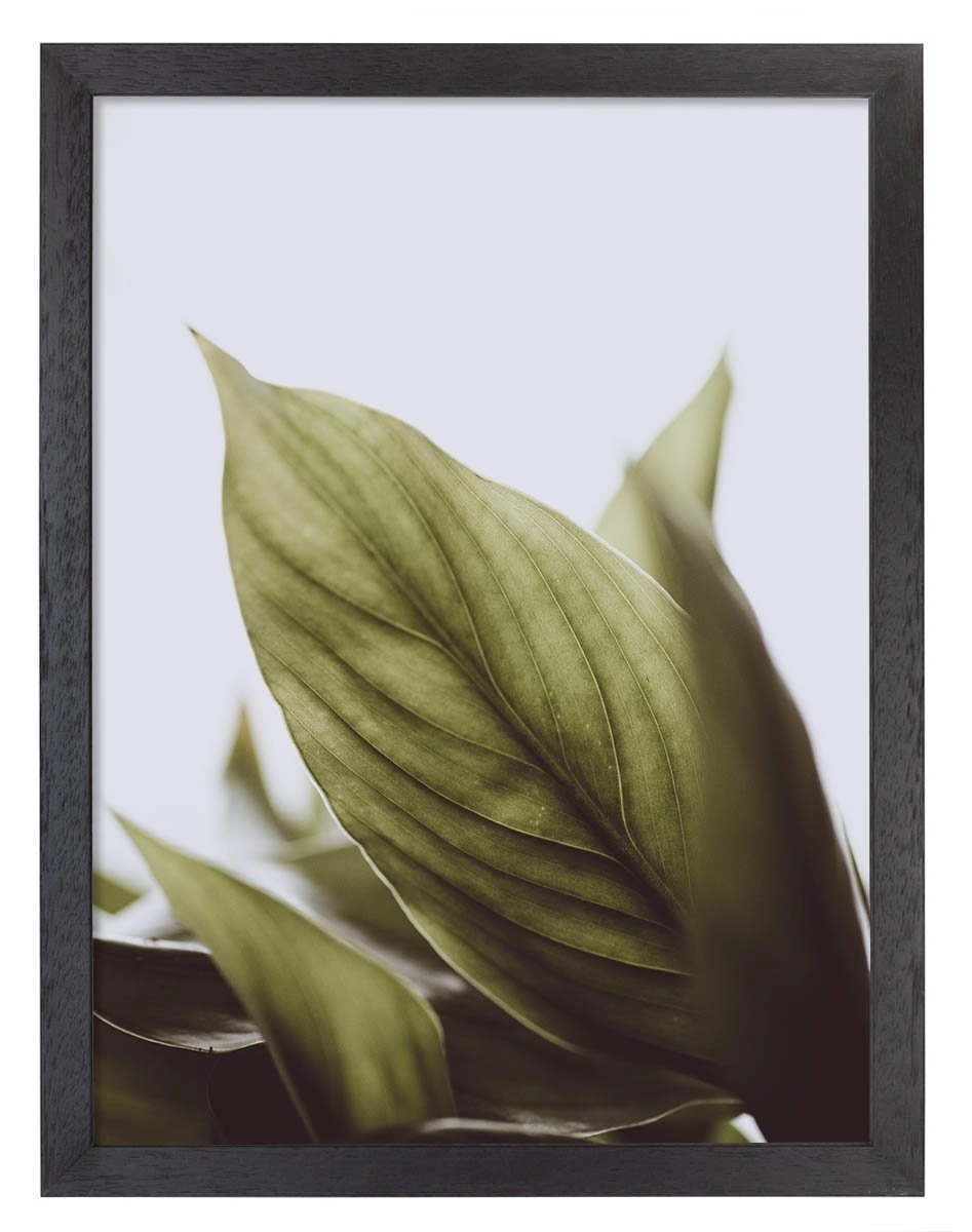 product-image-178