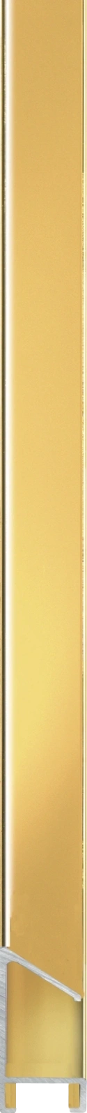 Gouden aluminium Nielsen lijst 