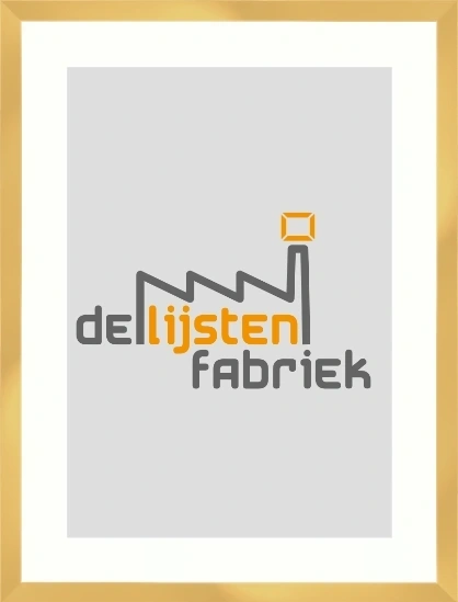 Gouden aluminium Nielsen lijst 