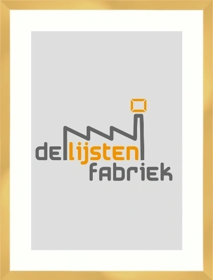Gouden aluminium Nielsen lijst 